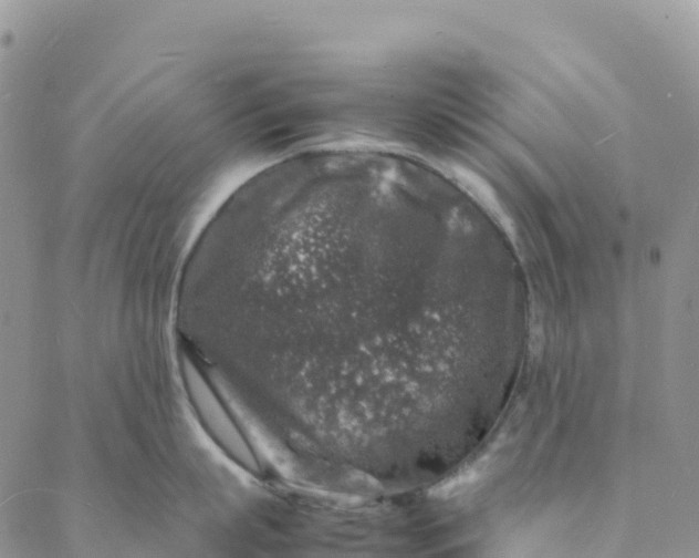 X0000088030863200705251115