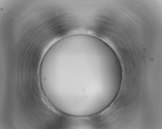 X0000088030864200705251115