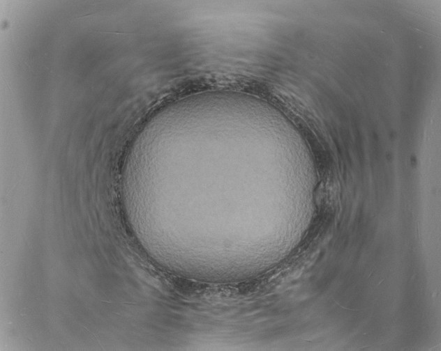 X0000088030865200705251114