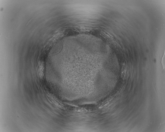 X0000088030866200705251114