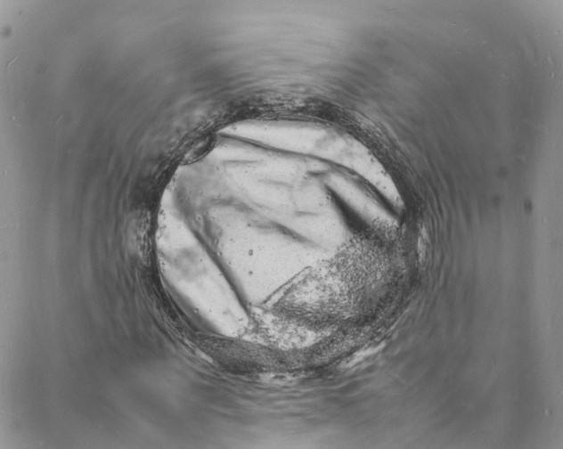 X0000088030867200705251114