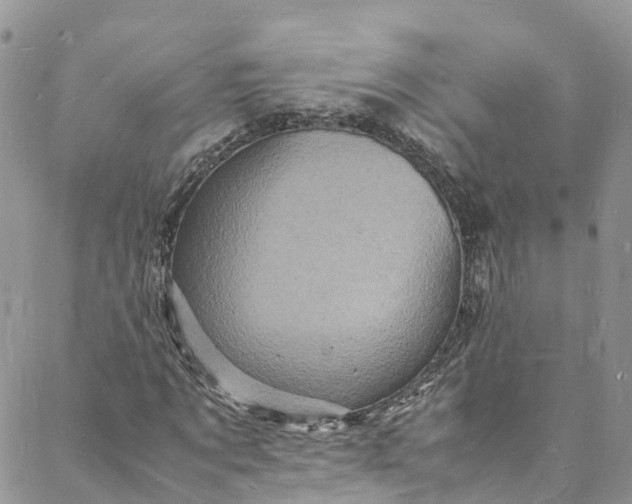 X0000088030869200705251114