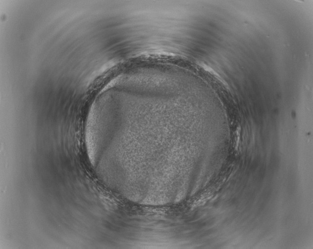 X0000088030870200705251114