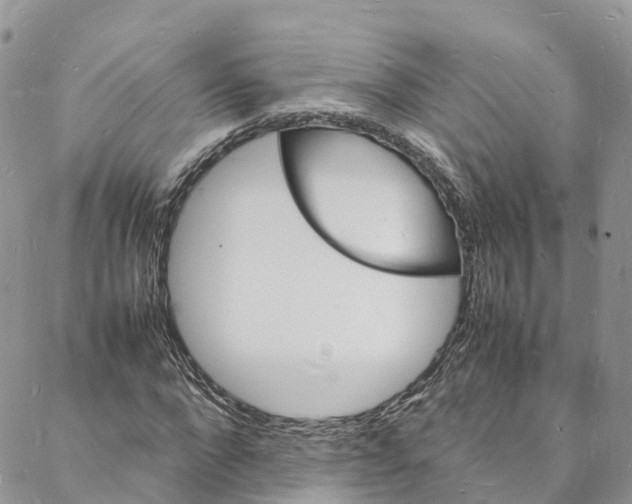 X0000088030872200705251114