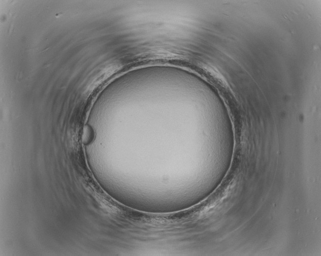 X0000088030873200705251114