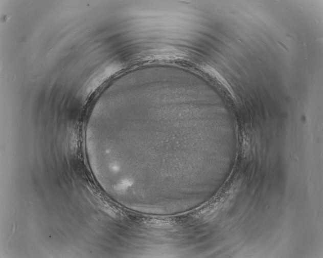 X0000088030874200705251114