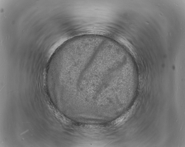 X0000088030875200705251114