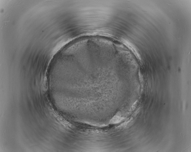 X0000088030876200705251114