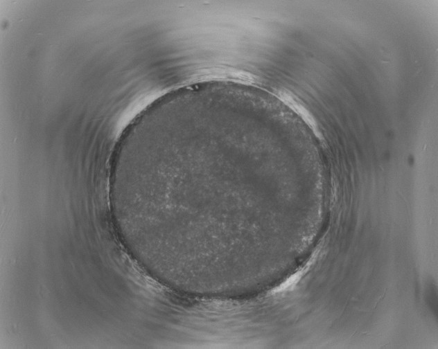 X0000088030877200705251114