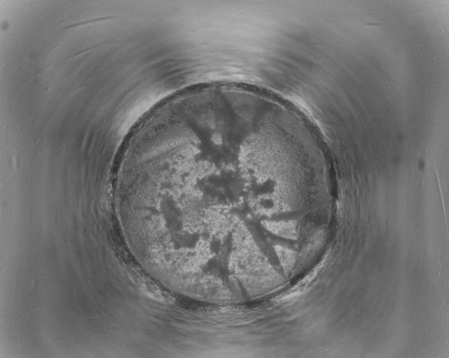 X0000088030879200705251114