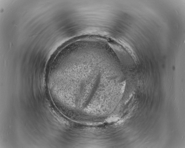 X0000088030880200705251114