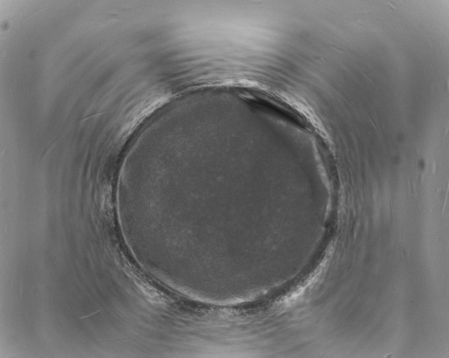 X0000088030881200705251114