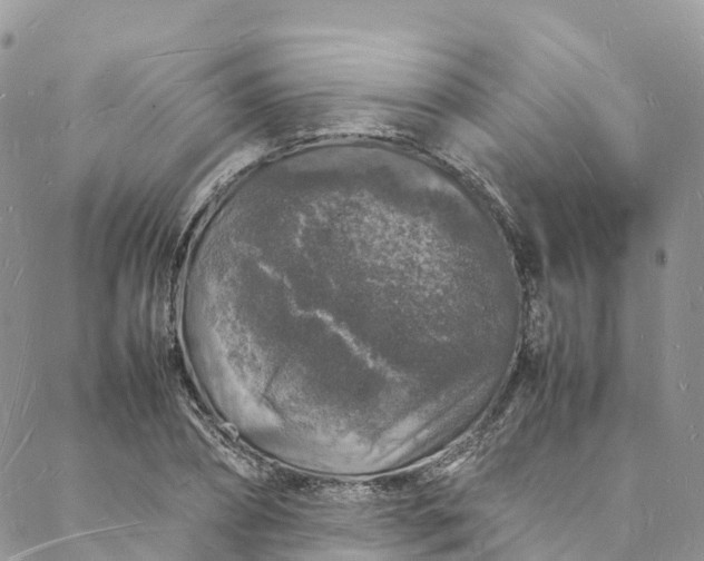 X0000088030882200705251114