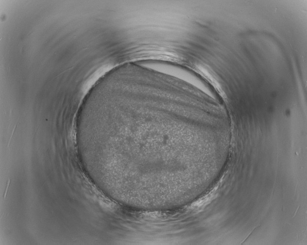 X0000088030883200705251114