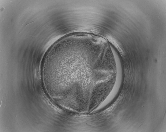 X0000088030884200705251114