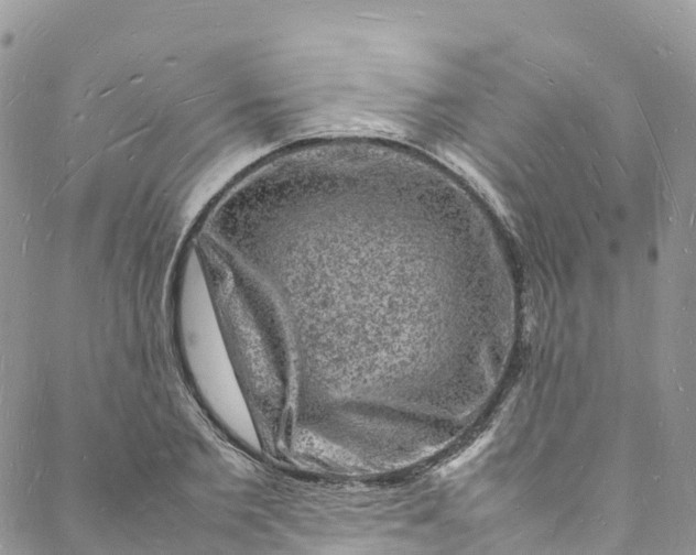 X0000088030885200705251114