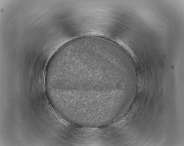 X0000088030886200705251114