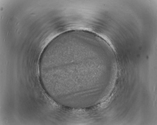 X0000088030887200705251114