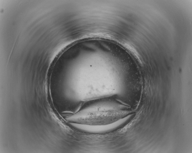 X0000088030888200705251114