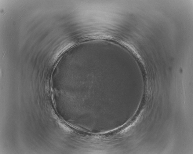 X0000088030889200705251114