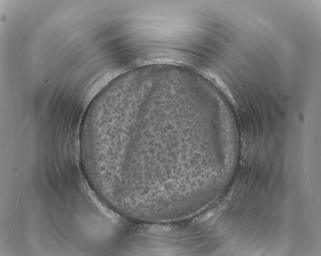 X0000088030890200705251114