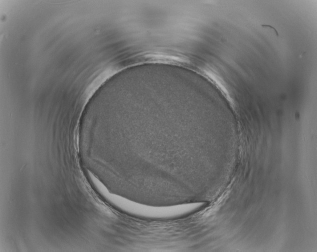 X0000088030891200705251114