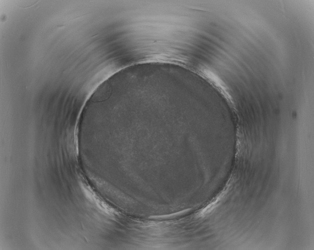 X0000088030892200705251114