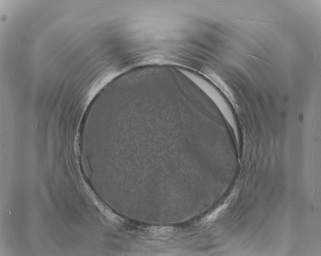 X0000088030893200705251114