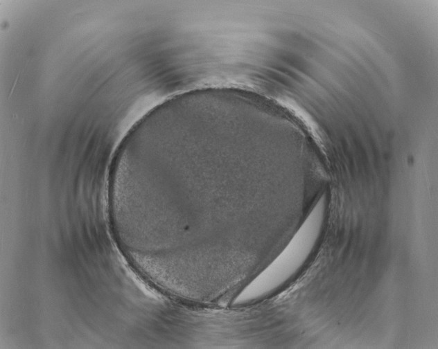 X0000088030894200705251113