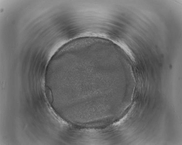 X0000088030896200705251113