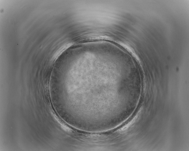 X0000088030897200705251113