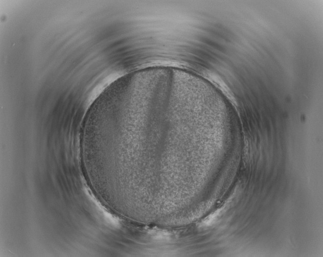 X0000088030898200705251113