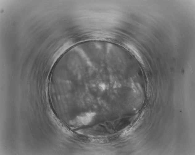 X0000088030899200705251113