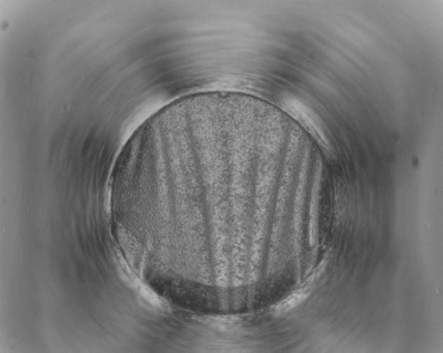 X0000088030900200705251113