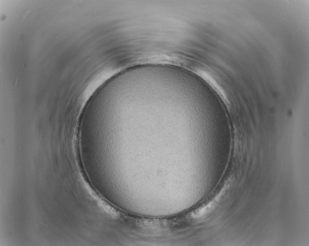 X0000088030901200705251113