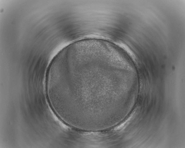 X0000088030902200705251113