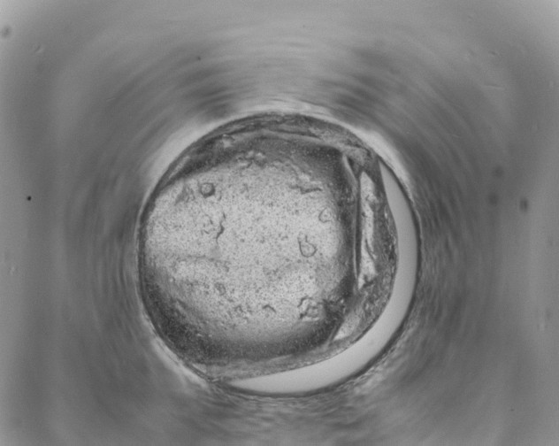 X0000088030903200705251113