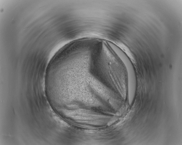 X0000088030904200705251113