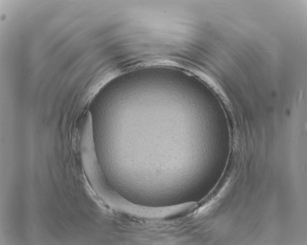 X0000088030905200705251113