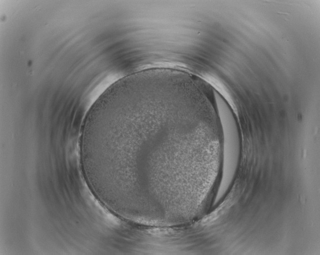 X0000088030906200705251113