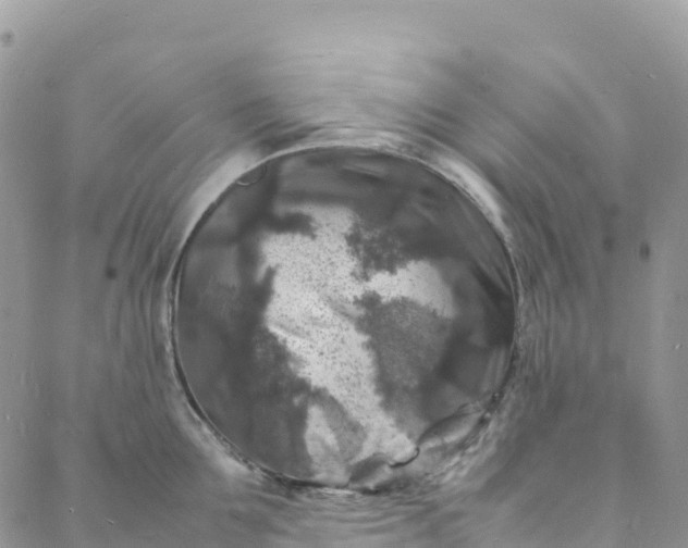 X0000088030907200705251113