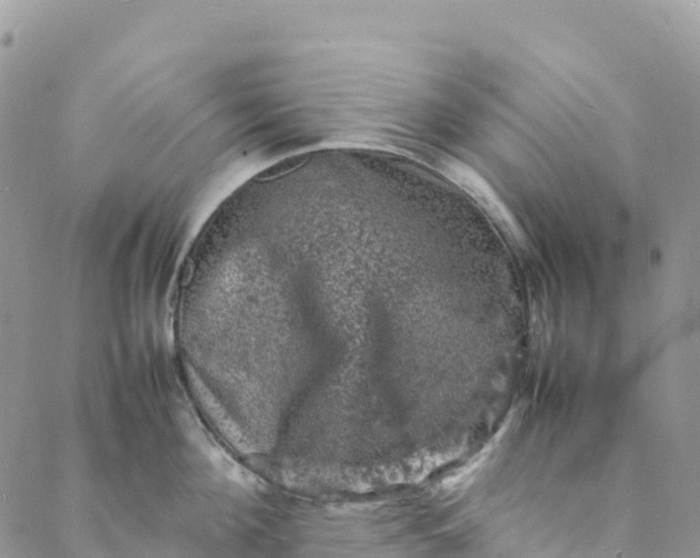 X0000088030908200705251113