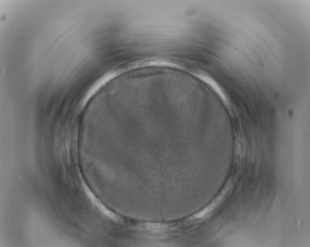 X0000088030910200705251113