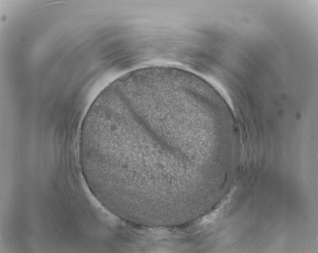 X0000088030911200705251113