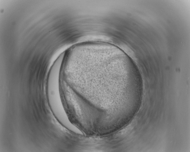 X0000088030912200705251113