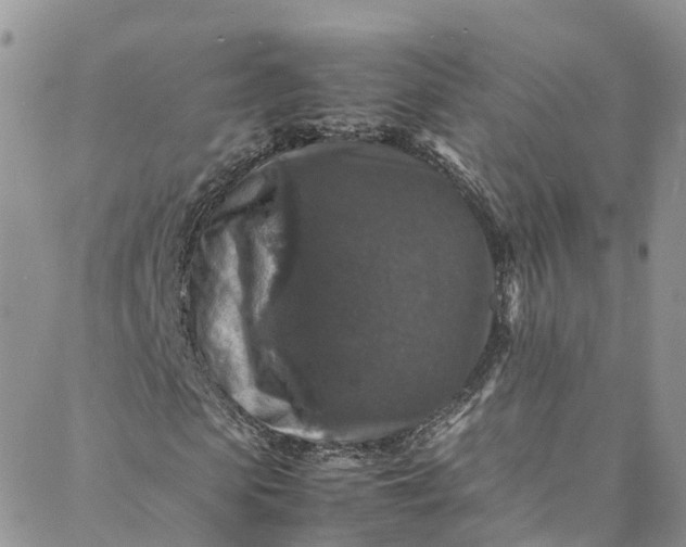 X0000088030913200705251112