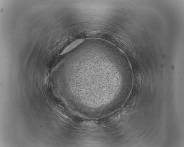 X0000088030914200705251112