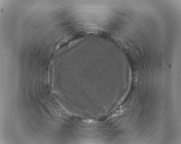 X0000088030916200705251112