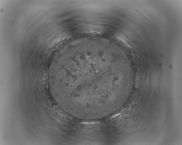 X0000088030917200705251112