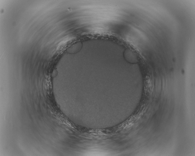 X0000088030918200705251112